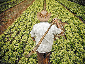 STJ impede constrição de bens de agricultor que pede recuperação