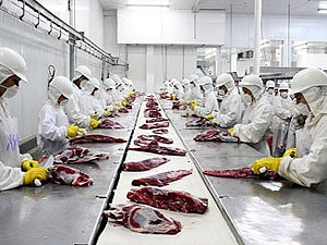 MPT-RS notifica frigoríficos para prevenir contágio da Covid-19