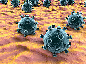 Por calamidade pública, juíza desbloqueia contas bancárias