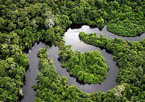 STJ limita a R$ 250 mil multa em processo ambiental contra Estado