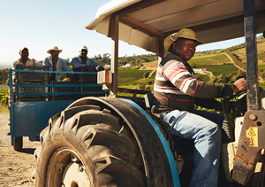 Empresa terá de indenizar família de tratorista morto em acidente