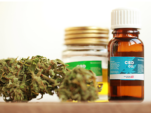 Juiz cível libera plantio individual de cannabis para fins medicinais